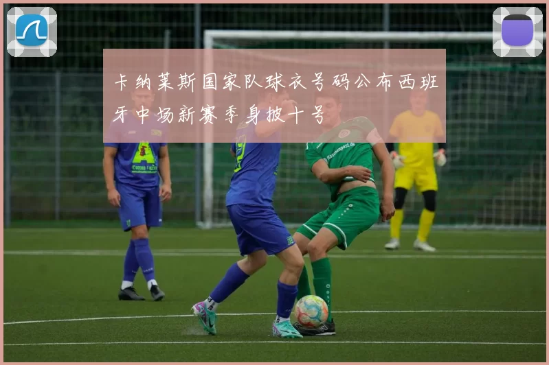 卡纳莱斯国家队球衣号码公布西班牙中场新赛季身披十号