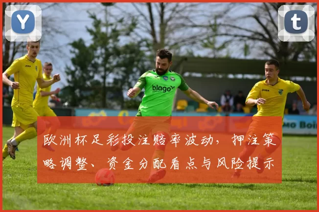 欧洲杯足彩投注赔率波动，押注策略调整、资金分配看点与风险提示