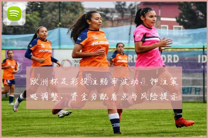 欧洲杯足彩投注赔率波动，押注策略调整、资金分配看点与风险提示
