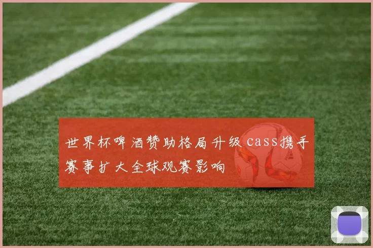 世界杯啤酒赞助格局升级 cass携手赛事扩大全球观赛影响